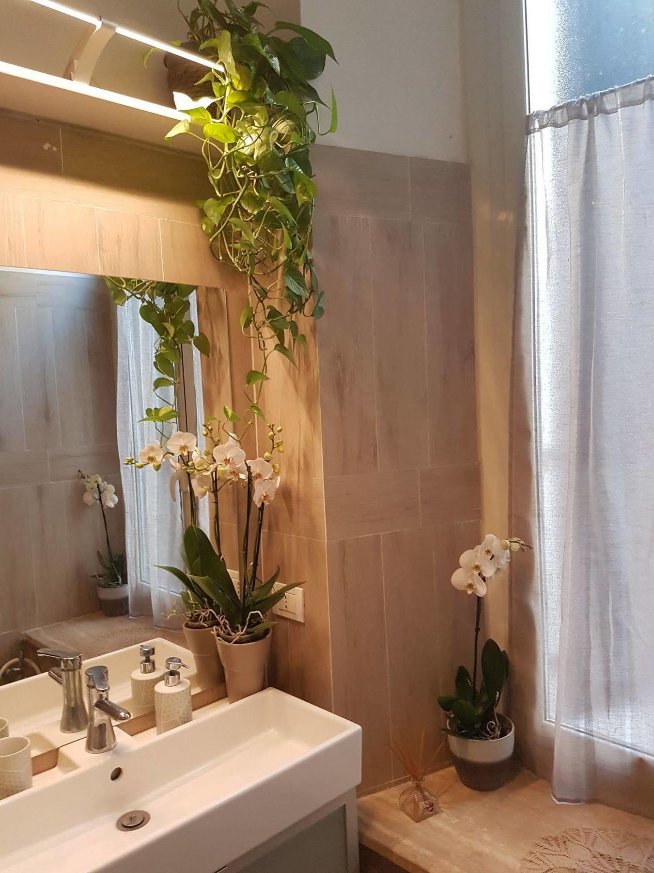 Chain Vatican Suites Рим Екстериор снимка
